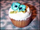 Parrot-cupcake